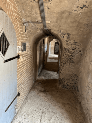 pampus-1